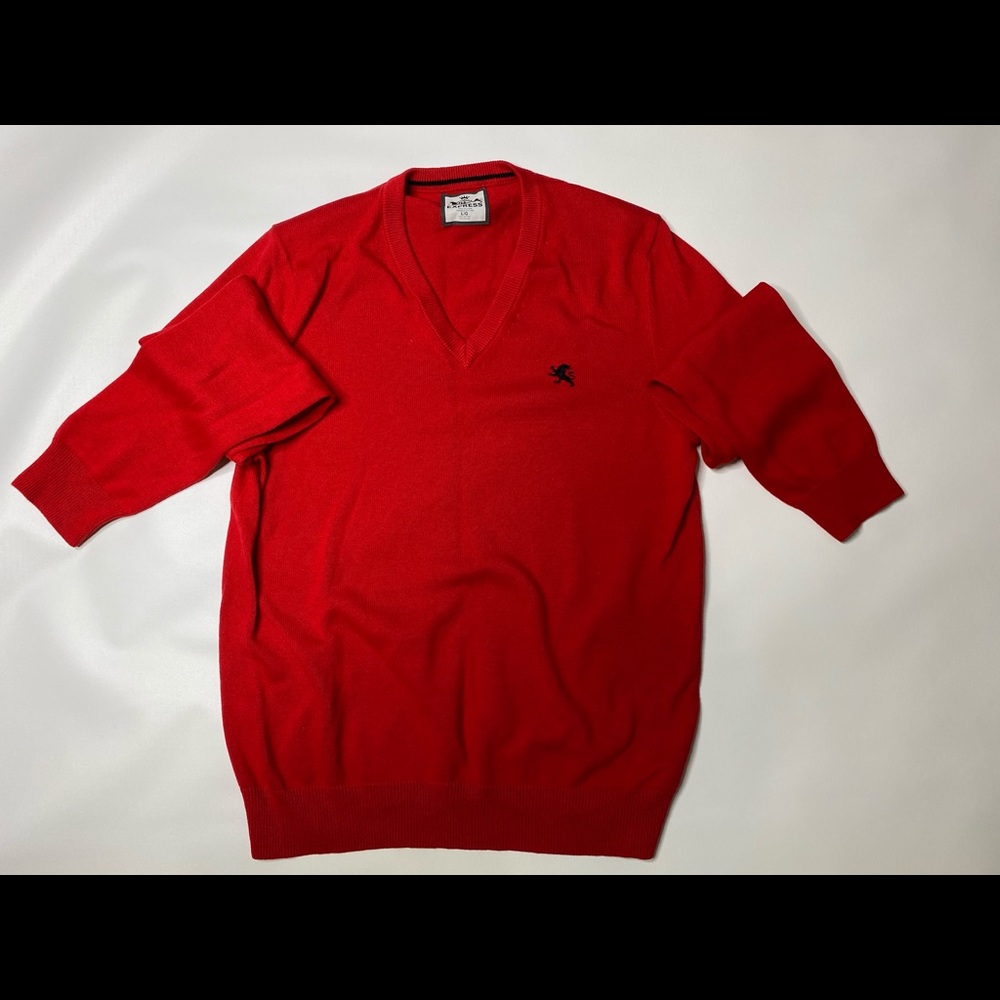 Express Red V neck sweater
